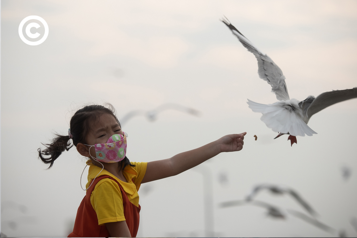 #PHOTOESSAY #becommon #นกนางนวล #สถานตากอากาศบางปู