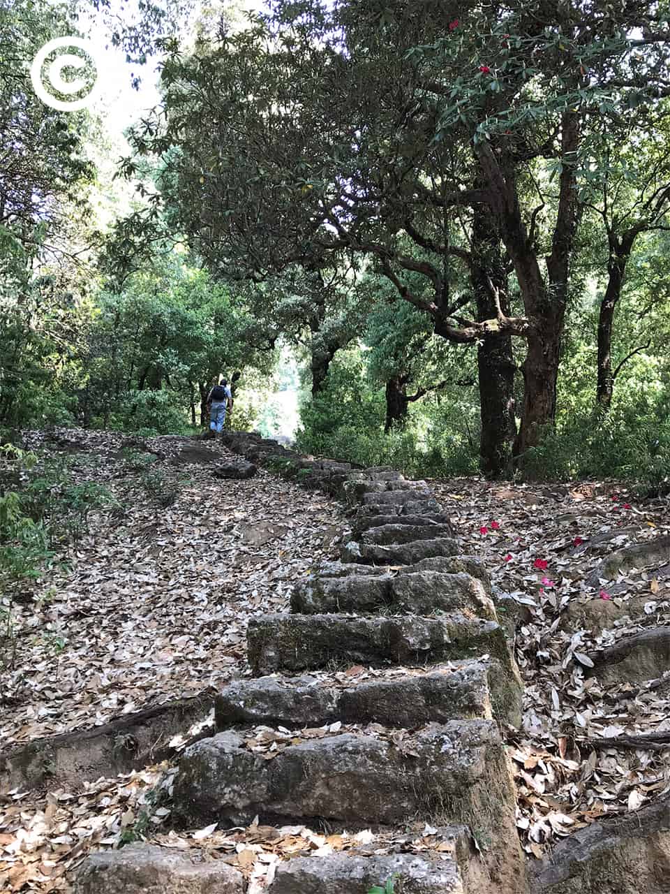 Dharamshala