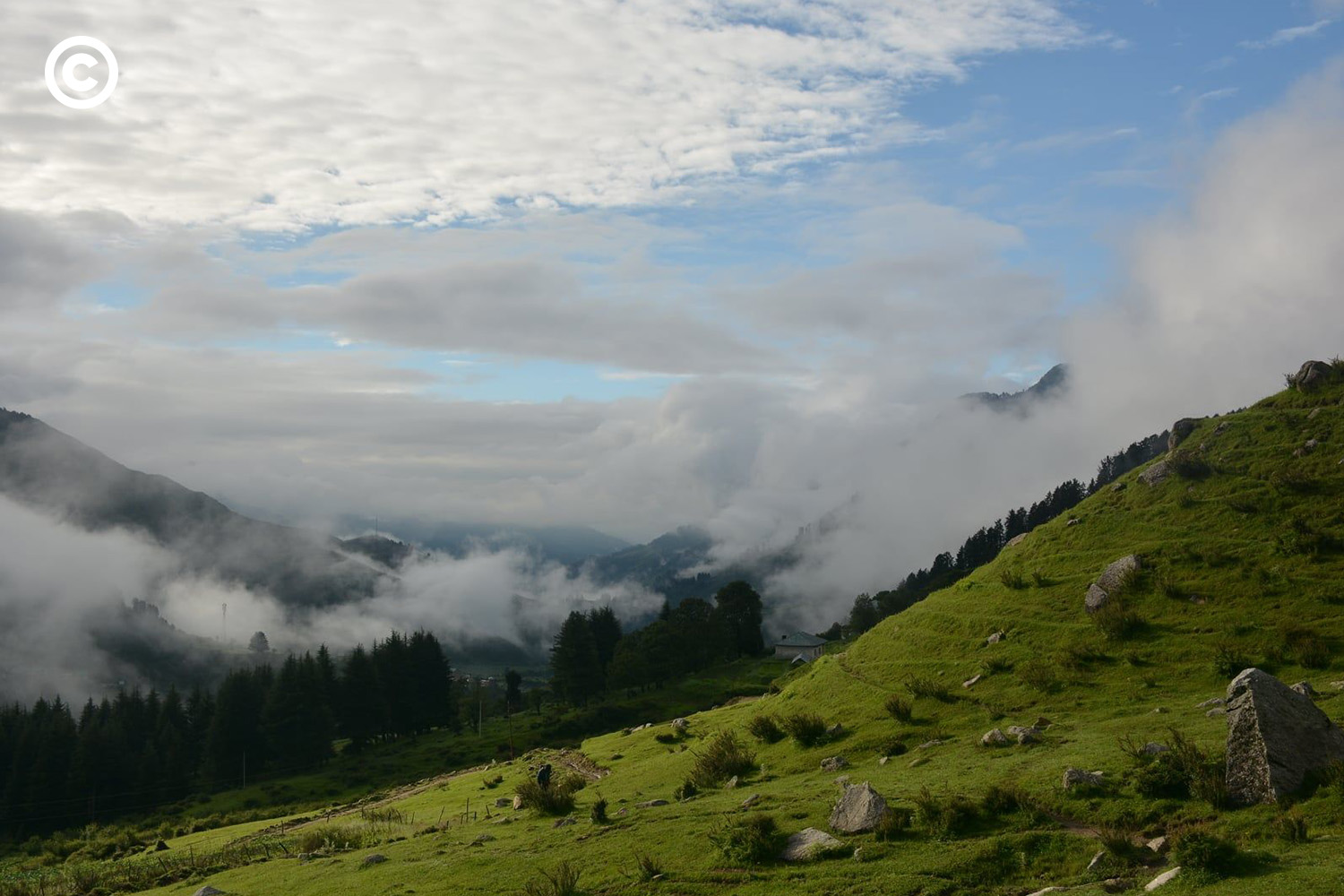 Barot