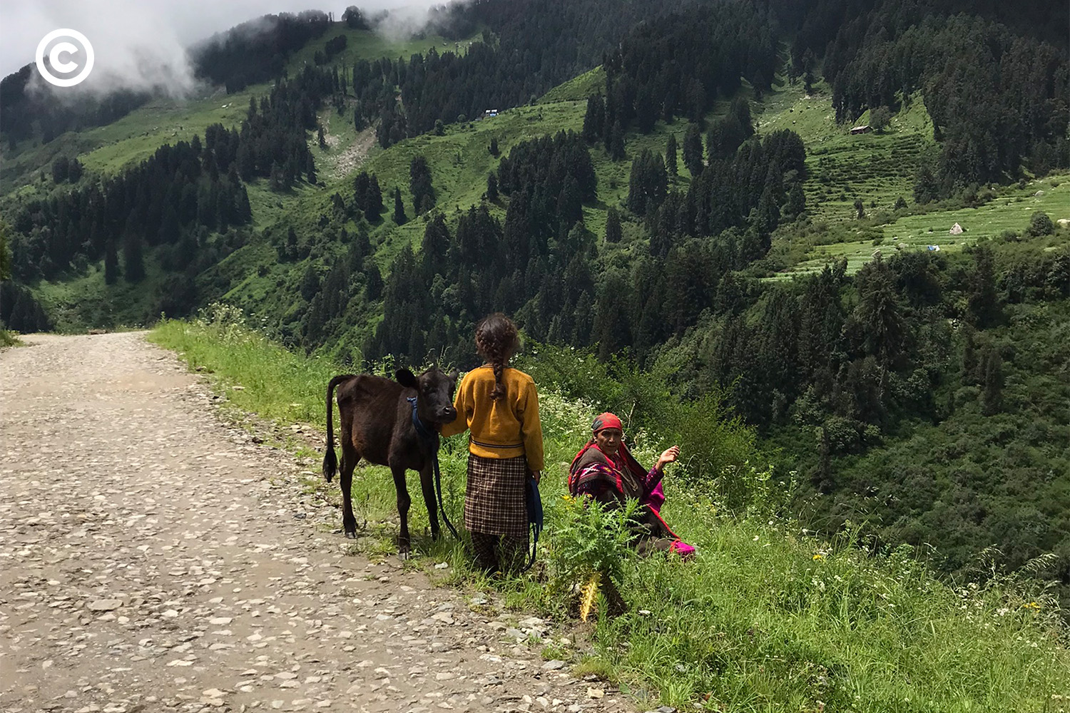 Barot