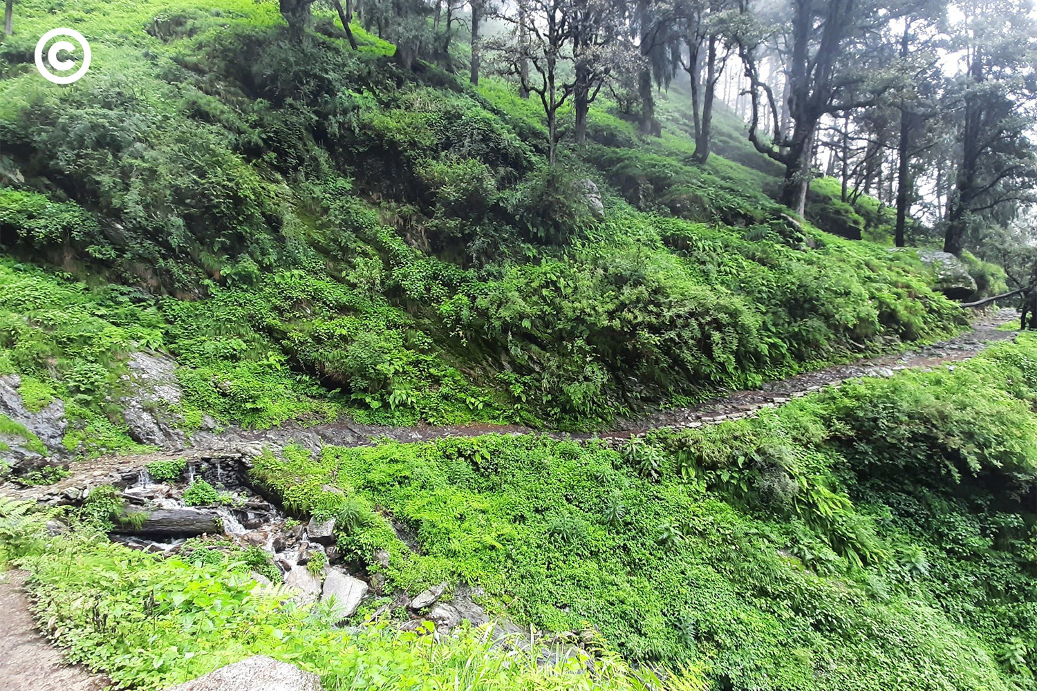 Barot