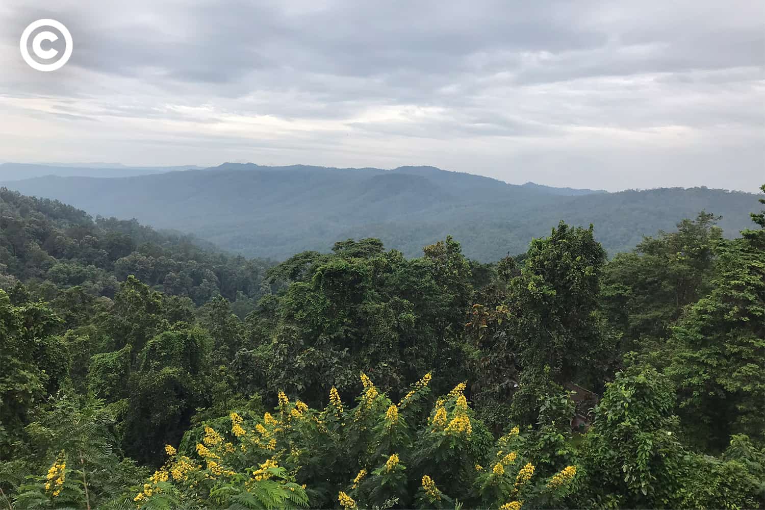khuntan