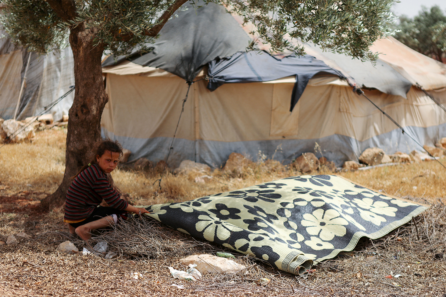 syria