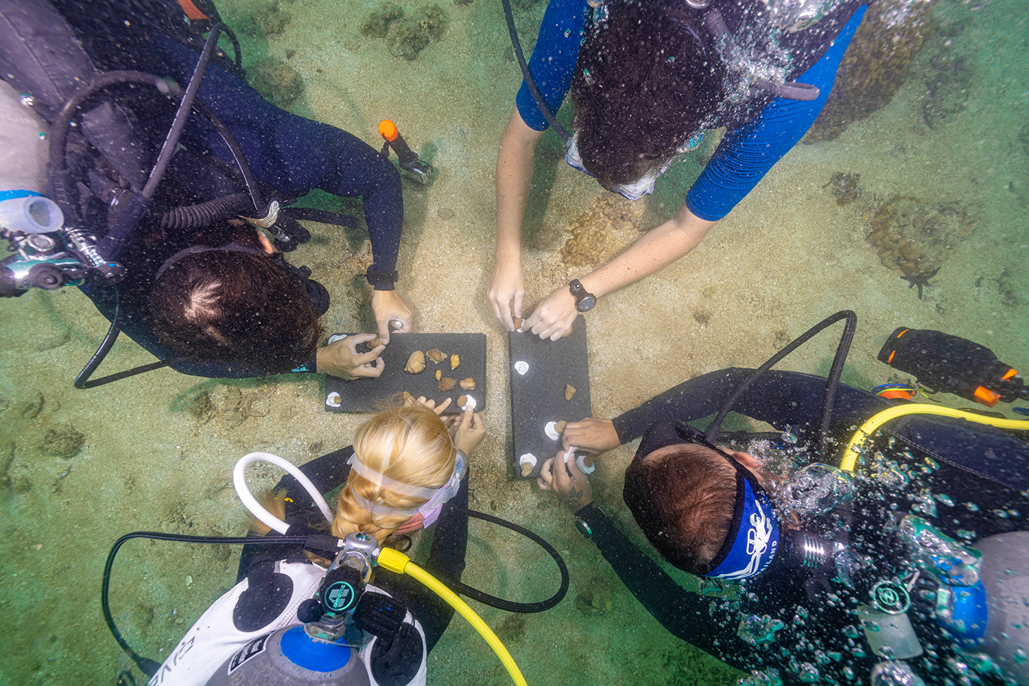 koh tao symposium