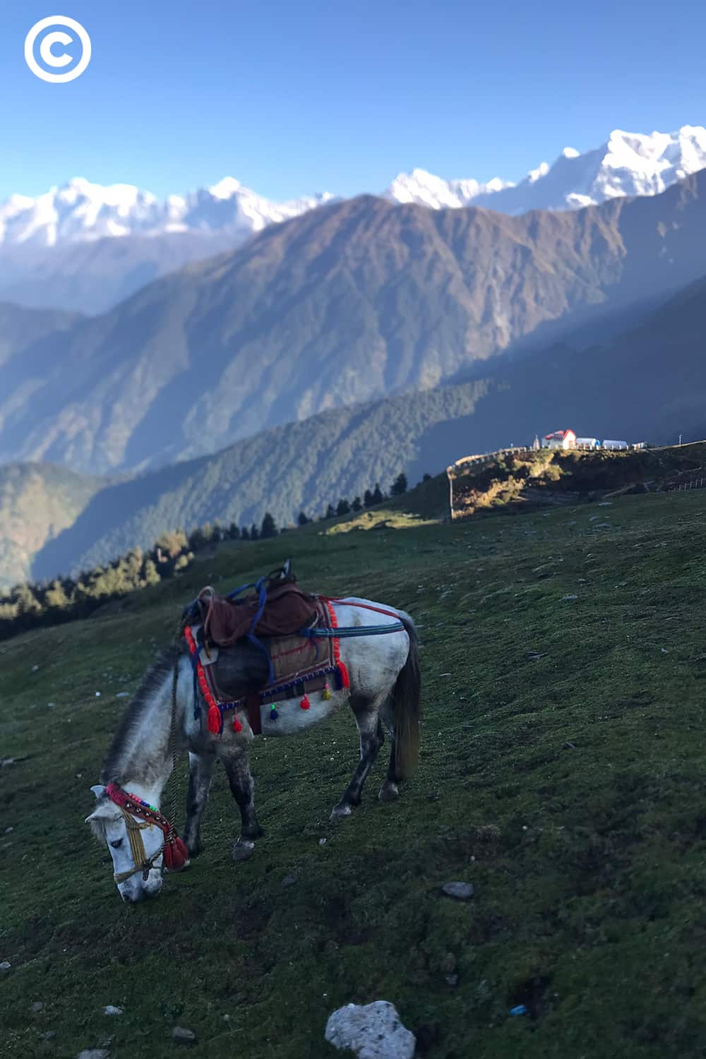 Panch Kedar