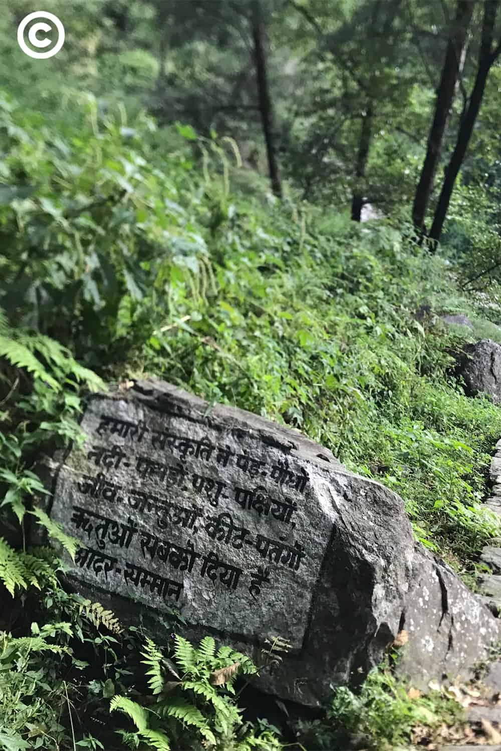 Panch Kedar