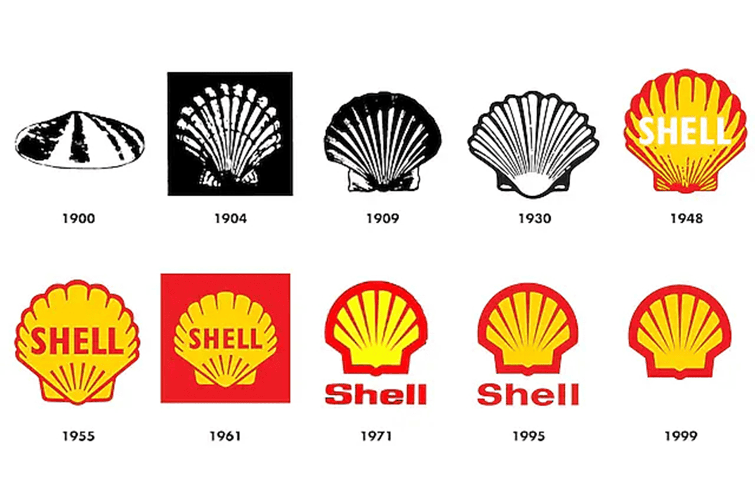 Shell