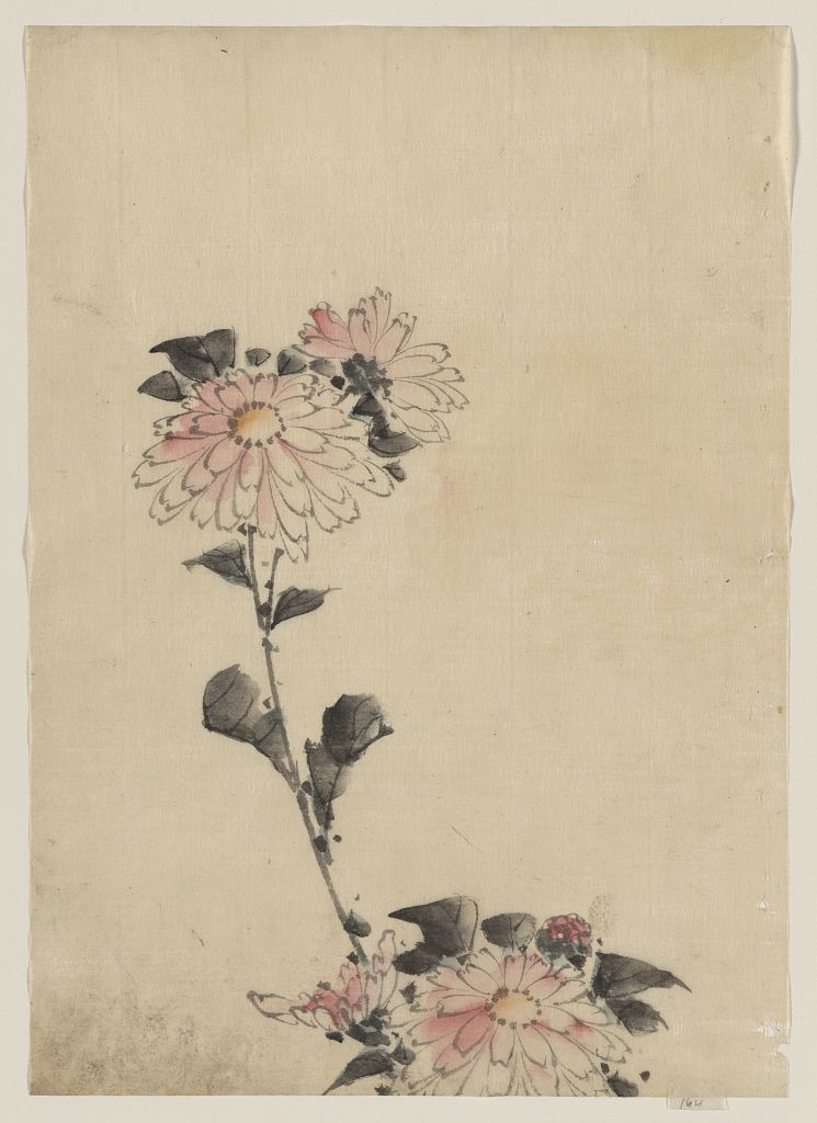 Pink flower blossoms on low stalk and two on a tall stalk, Katsushika, Hokusai, 1760-1849.